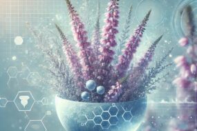Heather: A Natural Ally for Prostate and Urinary Health