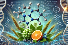 Hordenine: Effects on Prostate Health, Urinary Benefits, and Ingestion Methods