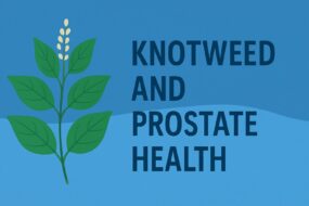 Knotweed and Prostate Health: Benefits, Uses, and Therapeutic Promise