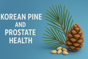 Korean Pine and Prostate Health: A Natural Ally for Urinary Vitality