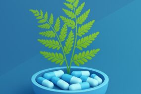 Lady Fern (Athyrium filix-femina): A Review of Its Health Benefits, Particularly for Men’s Health and Prostate Function