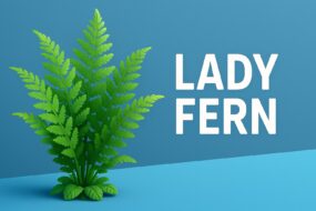Lady Fern (Athyrium filix-femina): Potential Effects on Prostate Health and Urinary Function
