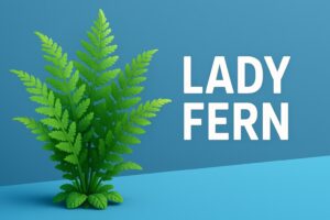 Lady Fern (Athyrium filix-femina): Potential Effects on Prostate Health and Urinary Function