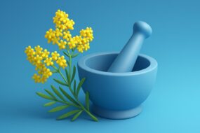Lady’s Bedstraw (Galium verum): An Exploration of Its Health Benefits, Prostate and Urinary Support, and Ingestion Methods