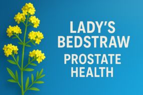 Lady’s Bedstraw (Galium verum): A Review on Prostate Health, Urinary Benefits, and Ingestion Methods
