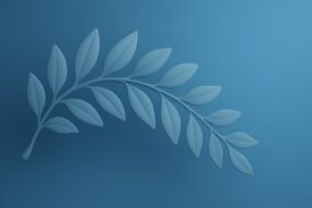 Laurelwood: An Examination of Its Health Benefits with Emphasis on Men’s Prostate and Urinary Health
