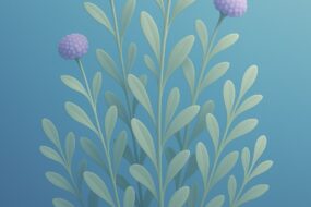 Lavender Cotton and Prostate Health: A Review of Its Benefits, Ingestion Methods, and Related Urinary Effects