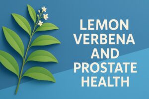 Lemon Verbena (Aloysia citrodora) and Prostate Health