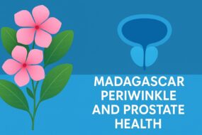 Madagascar Periwinkle and Prostate Health