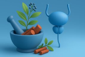 Madder (Rubia tinctorum) and Its Effects on Health, with a Focus on Men’s Health, Prostate Health, and Urinary Benefits