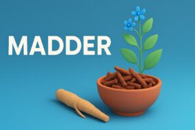 Madder (Rubia tinctorum) and Its Implications for Prostate Health
