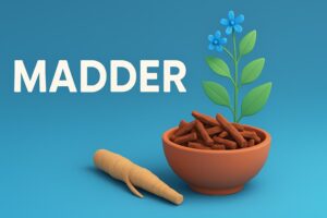 Madder (Rubia tinctorum) and Its Implications for Prostate Health