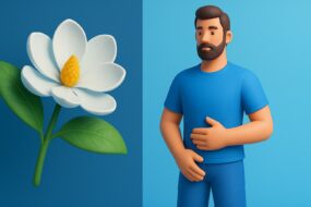 Magnolia – A Phytotherapeutic Ally for Men’s Health, Prostate Function, and Urinary Well-being