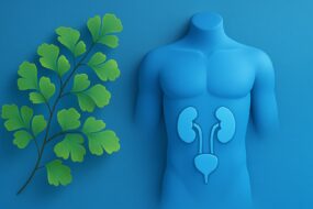 Maidenhair Fern: A Review of Its Health Benefits with a Focus on Men’s Health, Prostate Function, and Urinary Wellness