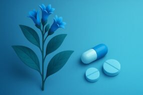 Malabar Nut (Justicia adhatoda) and Its Effects on Prostate Health
