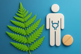 Male Fern (Dryopteris filix-mas): An Exploration of Its Effects on General and Men’s Health, with Focus on Prostate and Urinary Benefits
