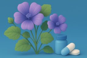 Mallow (Malva spp.) and Its Effects on Prostate Health