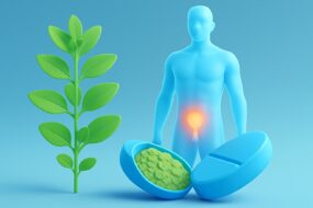Marjoram (Origanum majorana): A Review of Its Effects on Prostate Health and Urinary Benefits