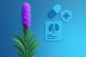 Marsh Blazing Star and Its Effects on Prostate Health
