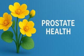 Marsh Marigold (Caltha palustris): A Review of Its Effects on Prostate Health and Urinary Function