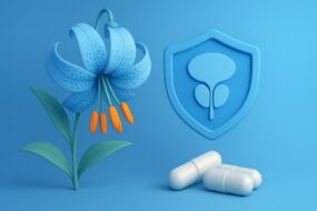 Martagon (Lilium martagon) and Its Effects on Prostate Health