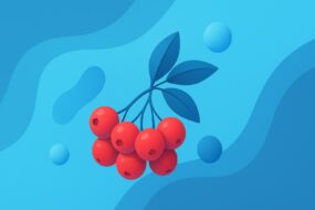 Phytotherapeutic Potential of Sorbus aucuparia (Mountain Ash) for Prostate Health: Mechanisms, Efficacy, and Clinical Perspectives