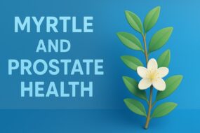 Myrtle and Prostate Health: An In-Depth Analysis of Its Botanical Potential