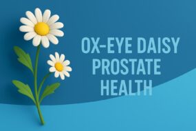 Ox-Eye Daisy (Leucanthemum vulgare) and Prostate Health: A Scholarly Overview