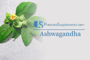 Ashwagandha: A Comprehensive Review of its Role in Boosting Testosterone in Middle-Aged Men