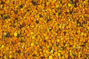 Bee Pollen and Its Effects on Prostate Health