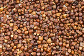 Grains of Paradise: Health Benefits