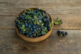 Black Nightshade: Health Effects and Applications with a Focus on Men’s Health