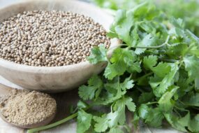 Coriander and Its Effects on Prostate Health