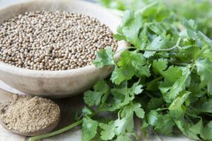 Coriander and Its Effects on Prostate Health