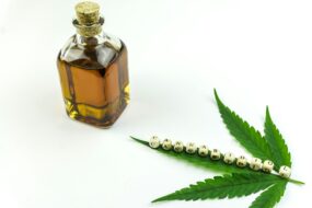 Cannabidiol and Its Effects on Health: A Focus on Men’s Health, Prostate Health, and Urinary Benefits