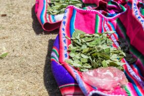 Coca and Its Effects on Health: A Review with Focus on Men’s Health and Prostate Health