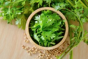 Coriander: A Comprehensive Review of Its Health Benefits with a Focus on Men’s Health, Prostate Health, and Urinary Benefits