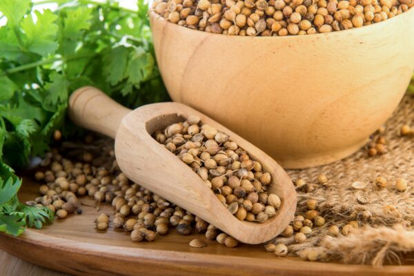 Coriander and Its Benefits for Middle-Aged Men’s Health