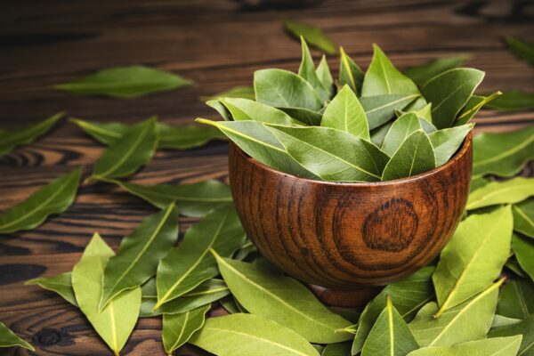 Bay Leaf: A Comprehensive Analysis of Its Health Benefits with a Focus on Men’s Health