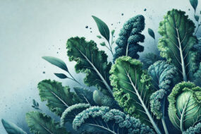 Kale and Its Effects on Prostate Health