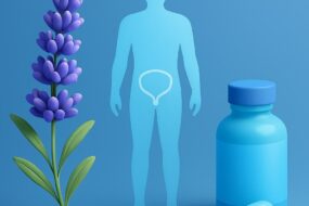 Lavender (Lavandula angustifolia): A Review of its Health Effects with Emphasis on Men’s Health, Prostate Support, and Urinary Benefits