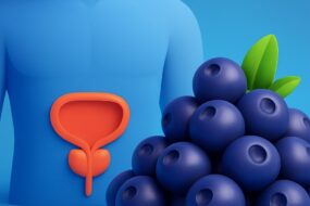 Maqui Berry: An Overview of Its Health Effects, With a Focus on Men’s Health, Prostate Function, and Urinary Benefits