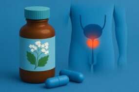 Meadowsweet (Filipendula ulmaria): A Review of Its Health Benefits with Emphasis on Men’s Health, Prostate Function, Urinary Support, and Ingestion Methods
