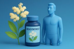 Meadowsweet (Filipendula ulmaria) and Its Role in Prostate Health
