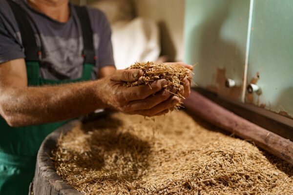 Oats and Prostate Health