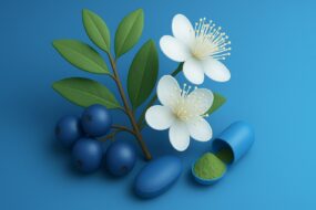 Myrtle (Myrtus communis): Effects on Health, with a Focus on Men’s Health, Prostate Function, Urinary Benefits, Uses, and Ingestion Methods
