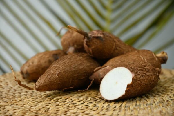 Cassava and Its Benefits for Middle-Aged Men’s Health