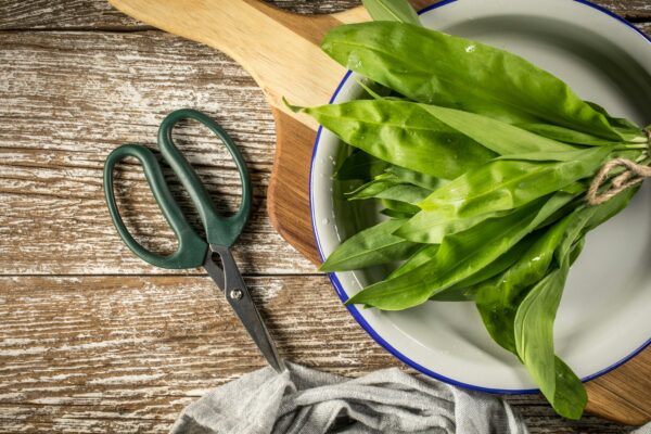 Bear’s Garlic and Its Health Benefits for Middle-Aged Men (Review)